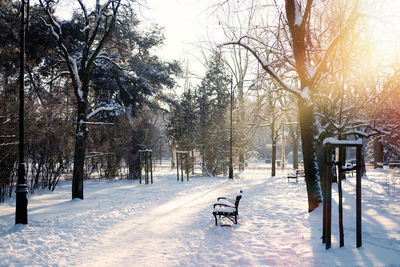 Winter solstice in snowy forest or park natural scene. hibernal solstice. sparkling snow in the