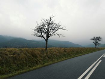 Tree on field by road against sky