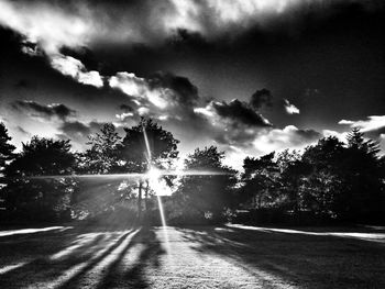Sunlight streaming through trees against sky