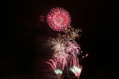 Low angle view of firework display at night
