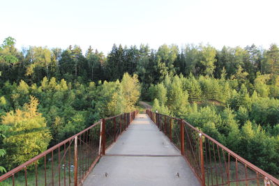 Empty footbridge leading towards forest