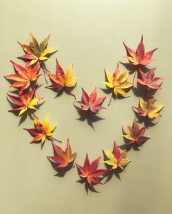 Close-up of orange leaves against white background