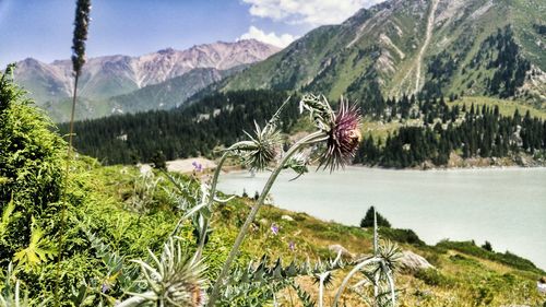 Scenic view of mountains against sky