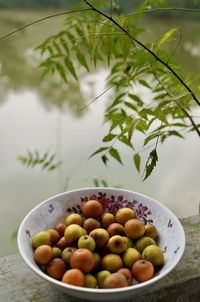 Close-up of fruits in bowl