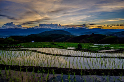 Scenic view of agricultural field against sky during sunset
