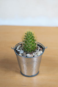 Close-up of potted plant on table