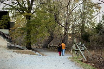 Rear view of men walking on footpath amidst trees