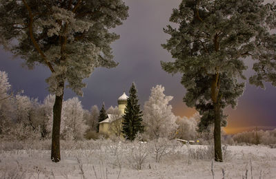 Trees on snow covered field against sky