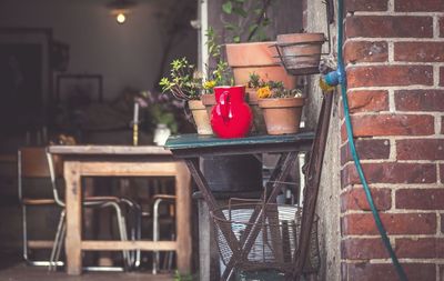 Potted plants on table against wall
