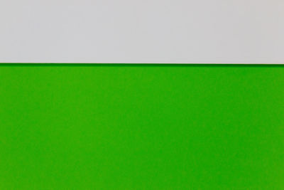 Close-up of green wall against white background