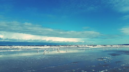 Scenic view of beach against blue sky