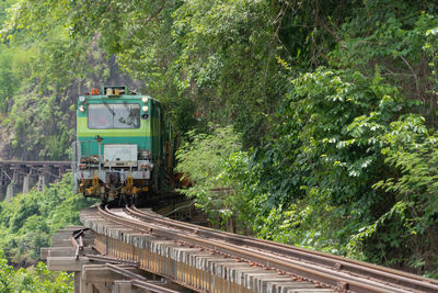 Train on railroad track amidst trees