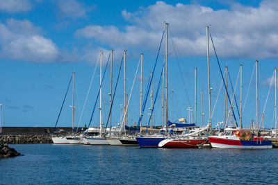 Sailboats moored in harbor