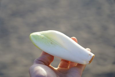 Close-up of hand holding ice cream