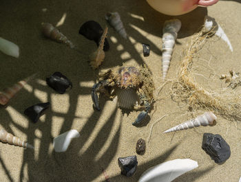 High angle view of toys on sand