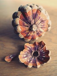 Close-up of flowers against blurred background