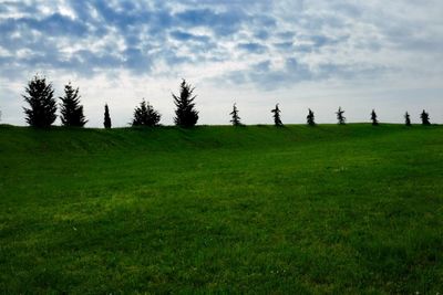 Trees on field against sky