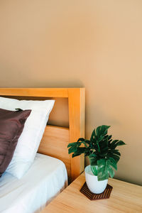 Potted plant on bed against wall at home