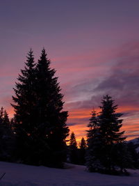 Silhouette trees against sky during winter