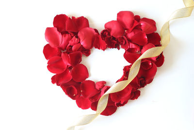 Close-up of red rose against white background