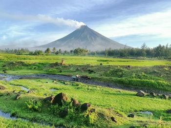Scenic view of green landscape and mountains against sky