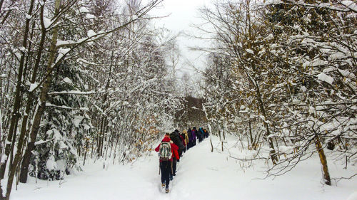 Rear view of people walking at snow covered forest during winter
