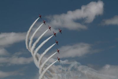 Low angle view of bird flying against sky