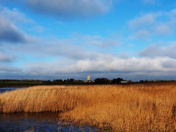 Scenic view of agricultural field against sky