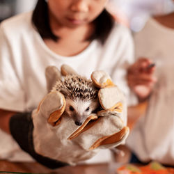 Girl holding hedgehog