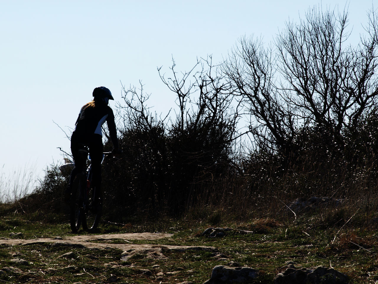 SILHOUETTE OF WOMAN RIDING BICYCLE ON ROAD