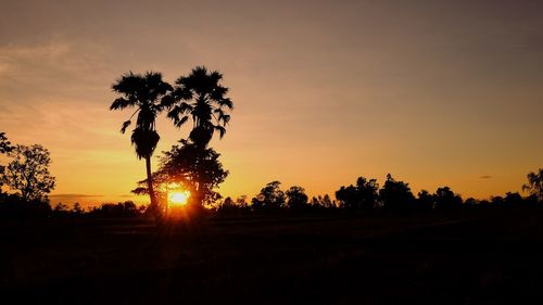 Silhouette trees on field against sky during sunset
