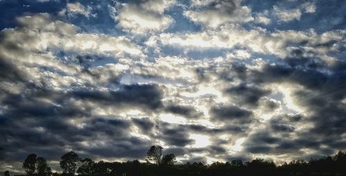 Low angle view of silhouette trees against dramatic sky