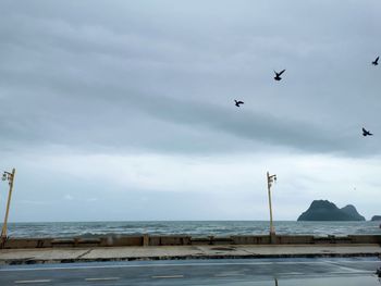 Birds flying over sea against sky