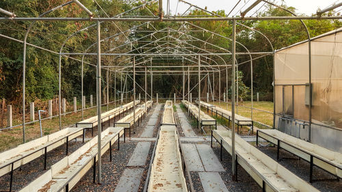 View of railroad tracks along plants