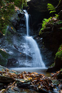 Scenic view of waterfall