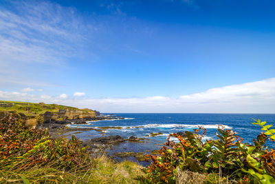 Scenic view of sea against blue sky