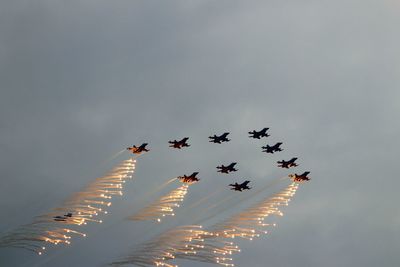 Low angle view of birds flying in sky