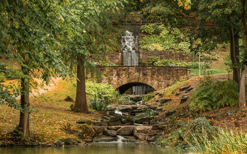 View of bridge in forest