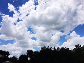 Low angle view of trees against blue sky