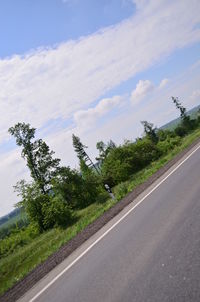 Road by trees against sky