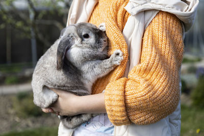 Close-up of squirrel
