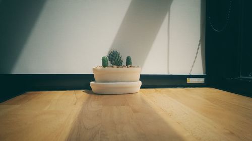 Potted plants on table at home