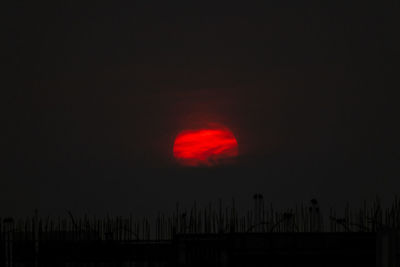 Low angle view of silhouette trees against sky at night