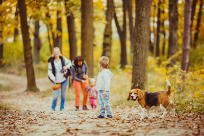People with dog in forest during autumn