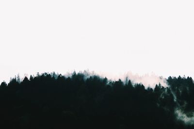 Silhouette trees in forest against clear sky