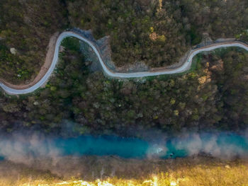 High angle view of road amidst trees