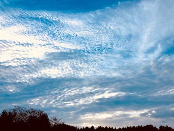 Low angle view of silhouette trees against blue sky