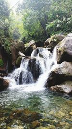 Scenic view of waterfall in forest