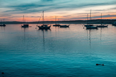 Sailboats in sea at sunset