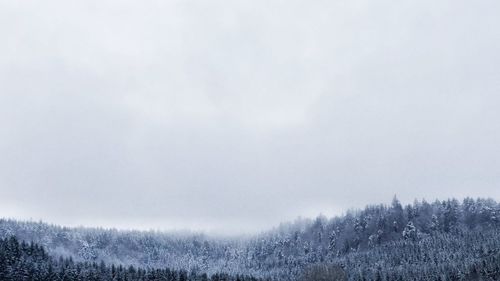 Scenic view of field in winter against sky